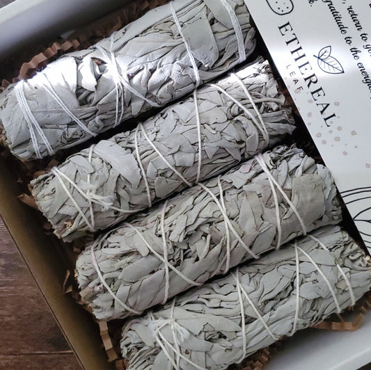 California White Sage Bundle For Smudging 4 Inch Long